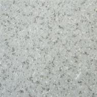 24553003