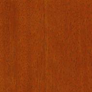 limba 4