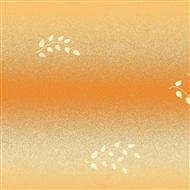 03 orange